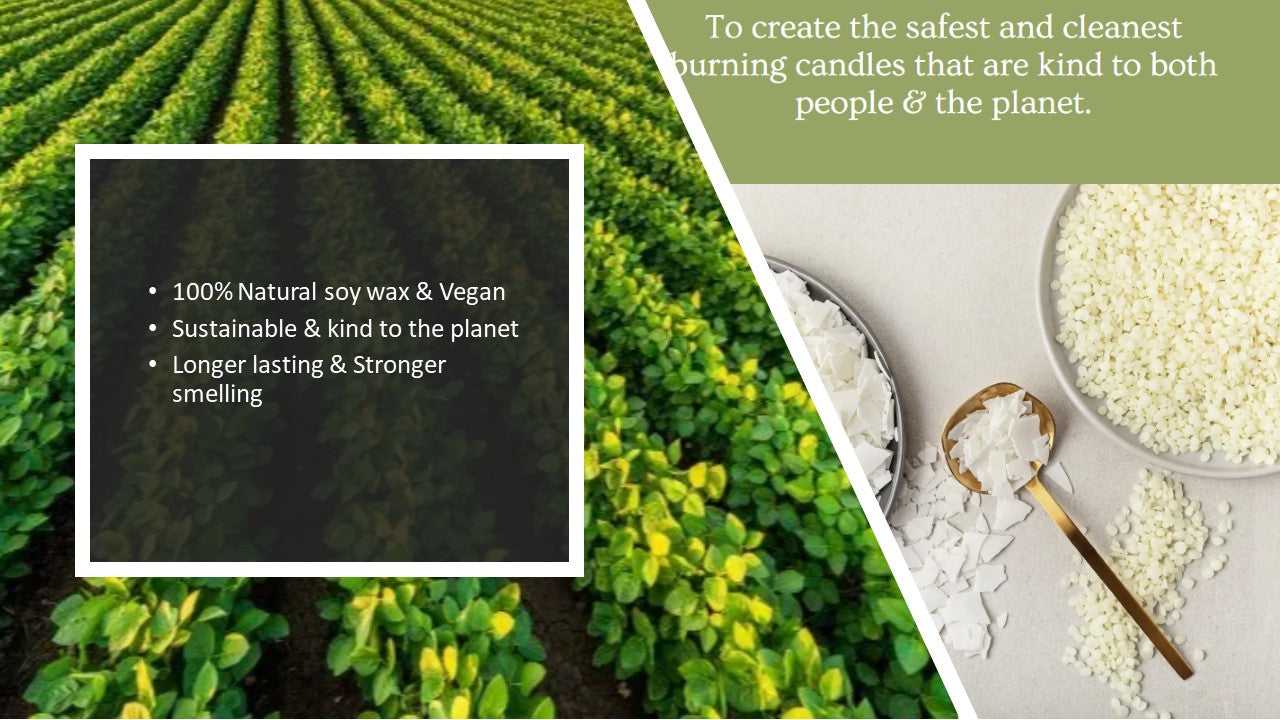 Dried Fruit/Flower Candle - Orange Cinnamon