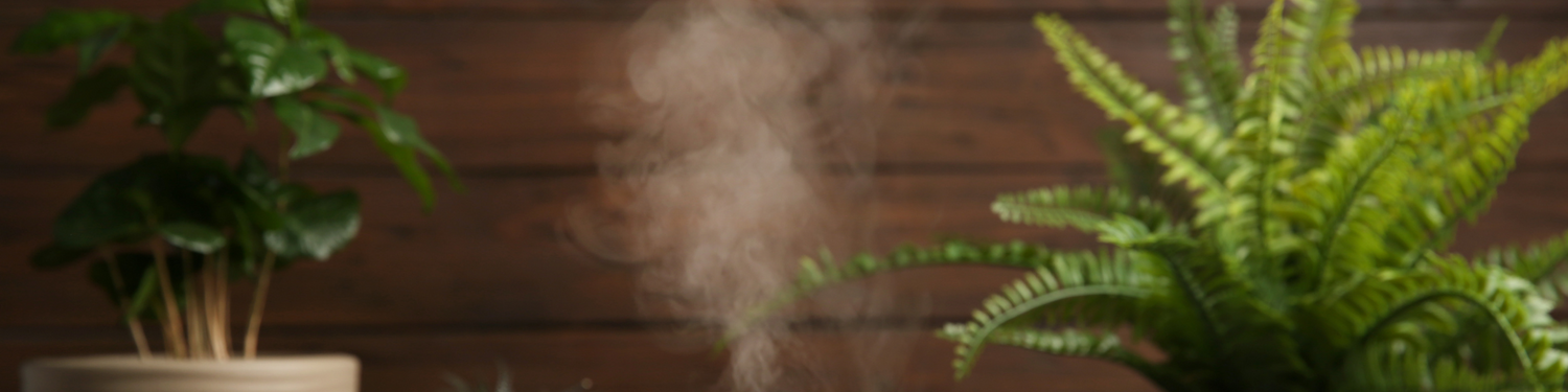 Diffusers & Oils